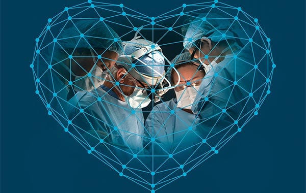 Magazines & Newsletters